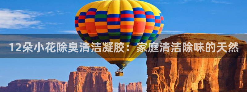 尊龙网站注册网：12朵小花除臭清洁凝胶：家庭清洁除味的天