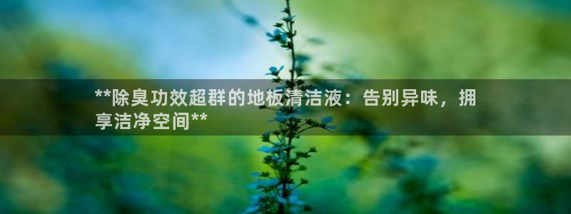 尊龙d88手机登录免费下载：**除臭功效超群的地板清洁液