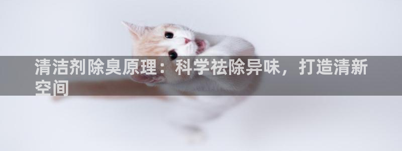 有人在凯时赢过钱吗：
