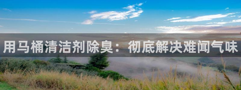 尊龙app最新版本官网：用马桶清洁剂除臭：彻底解决难闻气