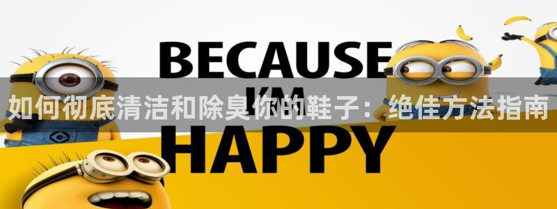 尊龙z6官网：如何彻底清洁和除臭你的鞋子：绝佳方法指南