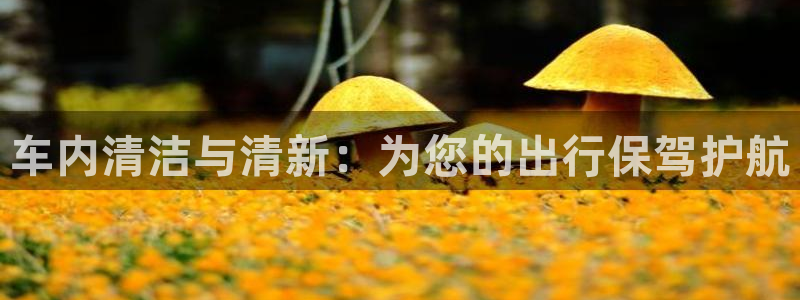 尊龙凯时百家乐手机下载