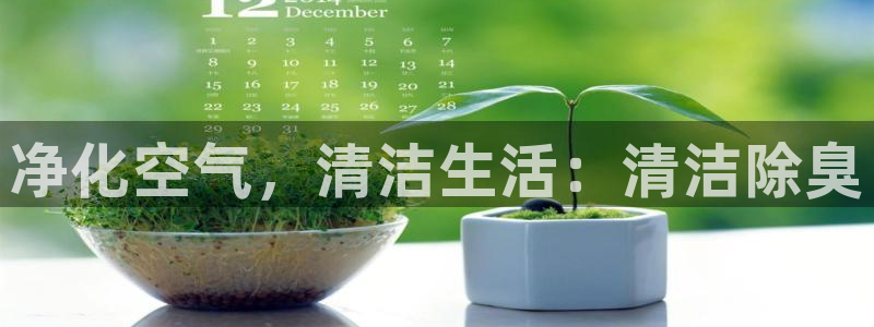 尊龙凯时网站怎么样