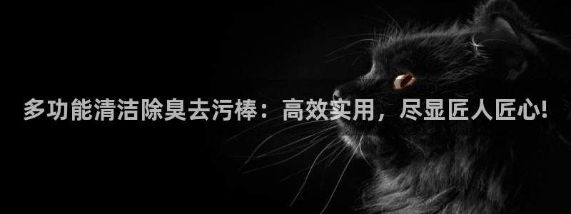 尊龙ag旗舰