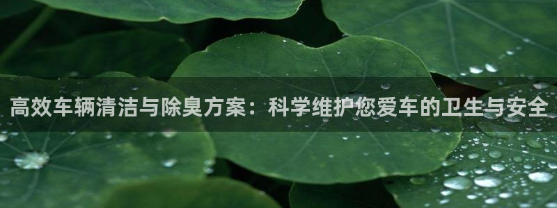凯时AG网