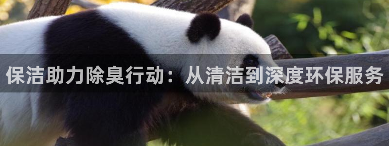 尊龙版末代皇帝