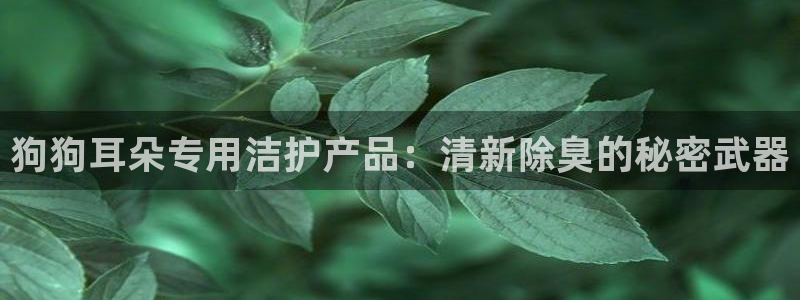 尊龙凯时 - 人生就是搏有假吗