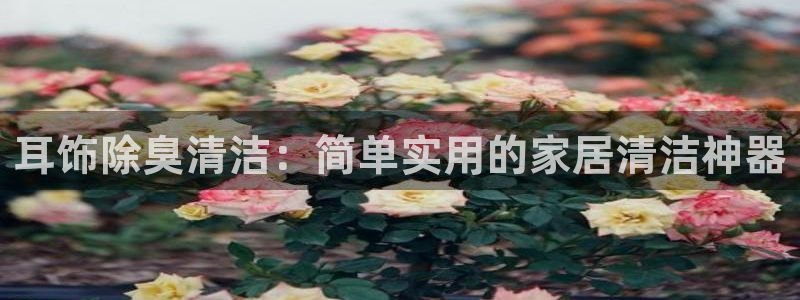 尊龙人生就是博用现金玩一下