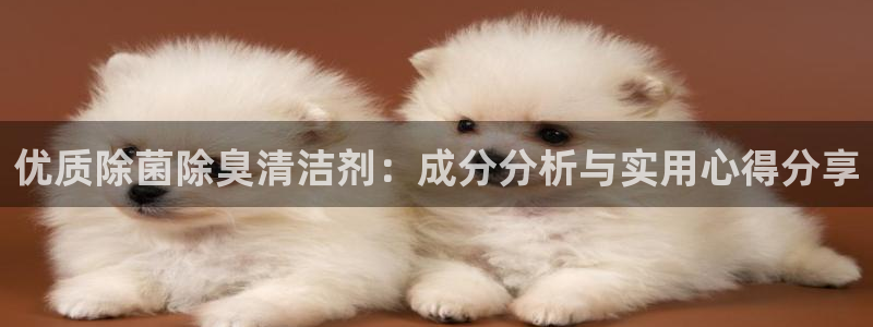 尊龙凯时