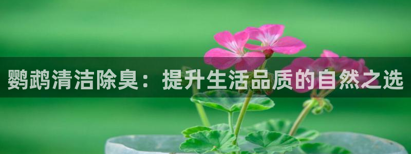 尊龙新版app首页