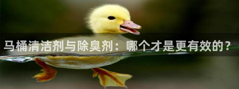 d88尊龙凯时