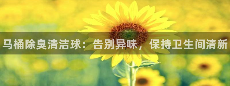 尊龙最近一次露面：马桶除臭清洁球：告别异味，保持卫生间清