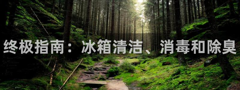 尊龙集团有限公司招聘：终极指南：冰箱清洁、消毒和除臭