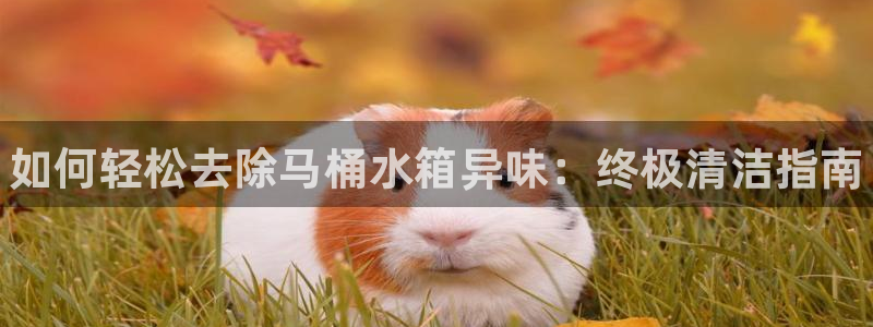 尊龙现金娱乐 下载