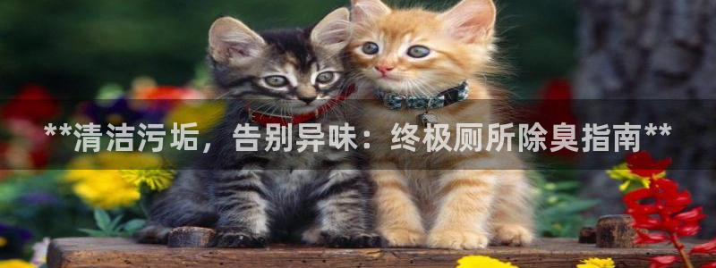 凯时app官方首页：