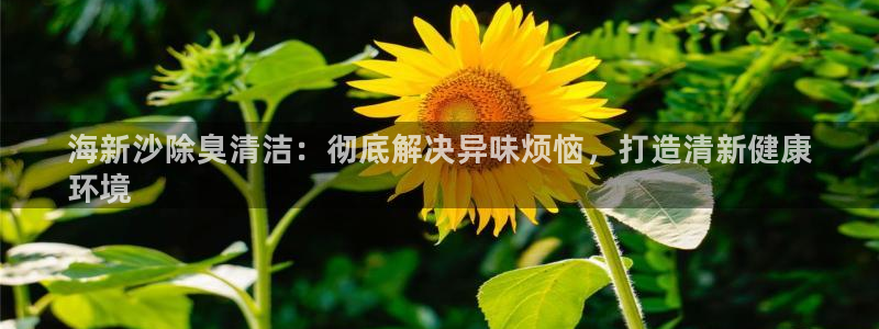 z6com尊龙凯时：海新沙除臭清洁：彻底解决异味烦恼，打