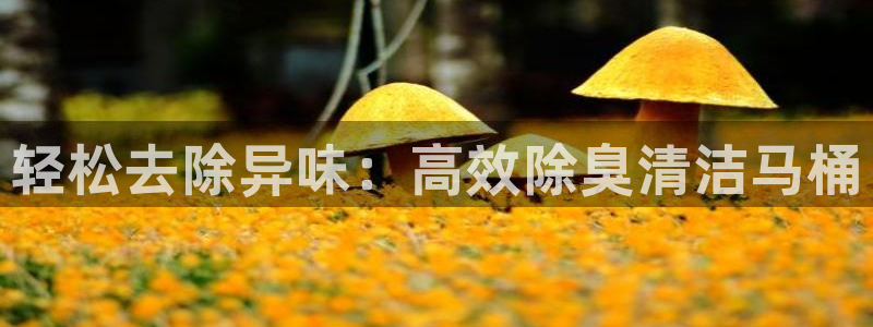 ag尊龙凯时俱乐部