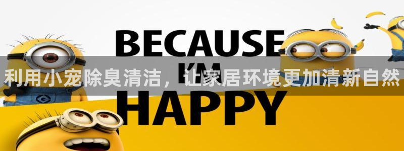 尊龙凯时怎么注销账号