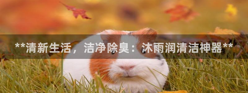 尊龙凯时这个平台怎么样：**清新生活，洁净除臭：沐雨润清