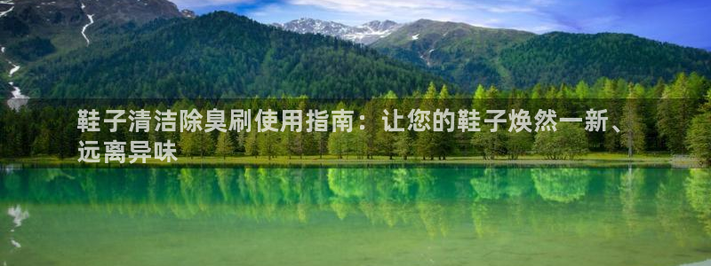 尊龙凯时人生就博官网：鞋子清洁除臭刷使用指南：让您的鞋子