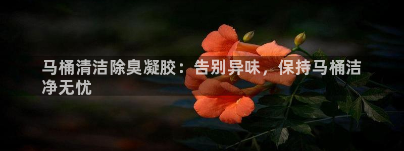 凯时k66官网登录：