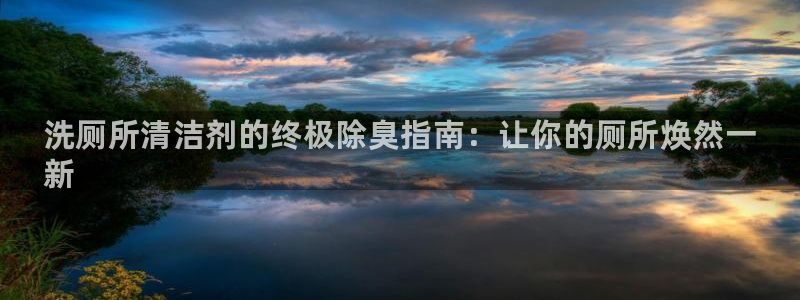 凯时尊龙官网网址：洗厕所清洁剂的终极除臭指南：让你的厕所