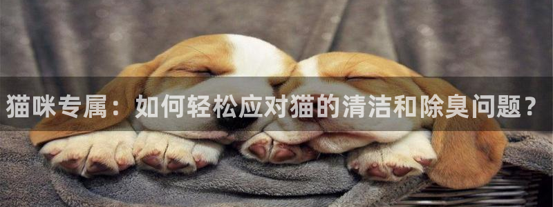 尊龙凯时 - 人生就是搏手机登录