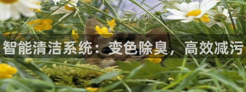 尊龙人生就是博中国区