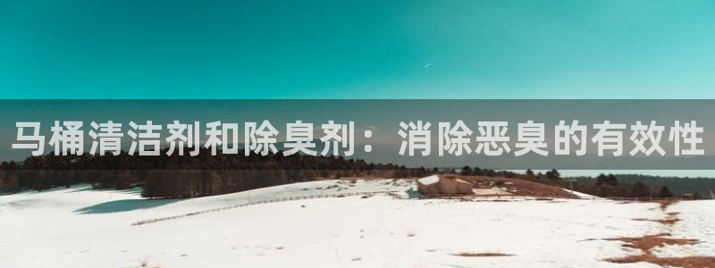 尊龙凯时泰安：马桶清洁剂和除臭剂：消除恶臭的有效性