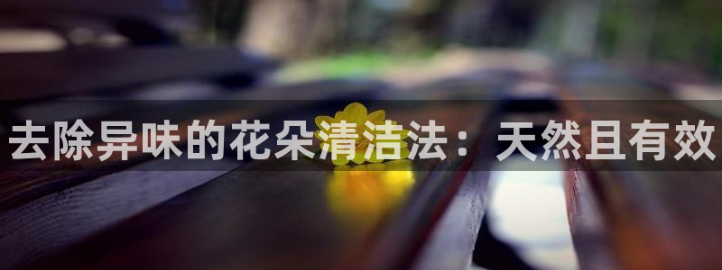 尊龙d88现金可来就