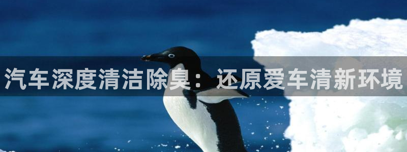 尊龙多少岁：汽车深度清洁除臭：还原爱车清新环境