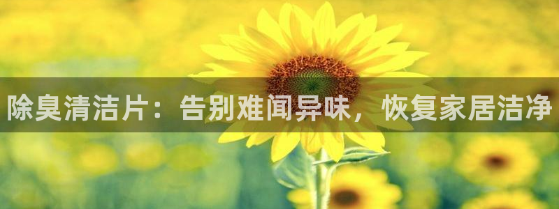 尊龙凯时有限公司：除臭清洁片：告别难闻异味，恢复家居洁净