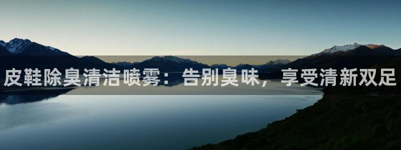 尊龙怎么没消息了：皮鞋除臭清洁喷雾：告别臭味，享受清新双