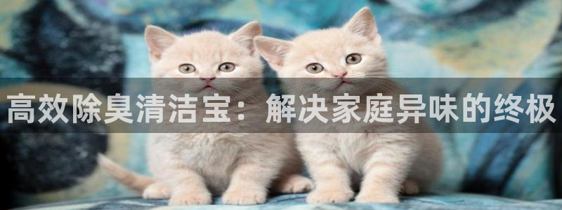 凯时APP官网首页：高效除臭清洁宝：解决家庭异味的终极