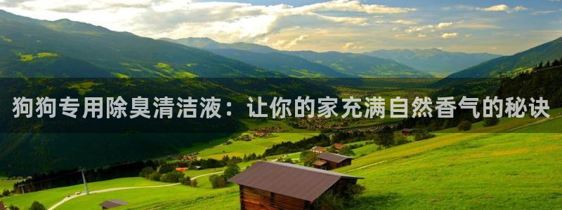 尊龙凯时有限公司：狗