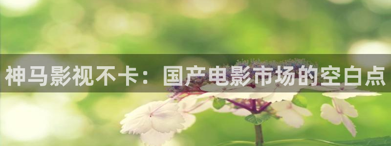 平民影院伦理片