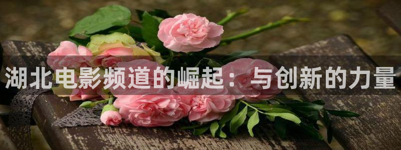 平民影院免费看电影