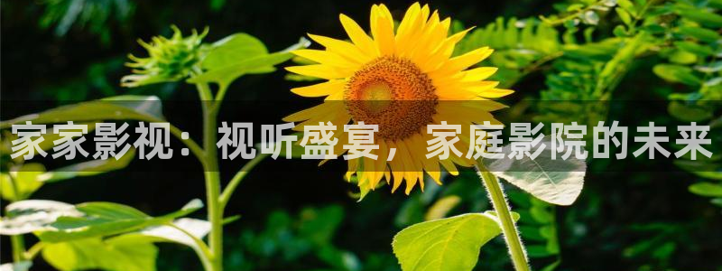 平民影院在线观看高清完整版